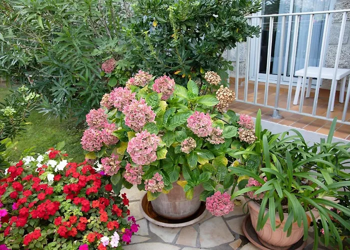 Hotel Hôtel Beach Propriano (Corsica)