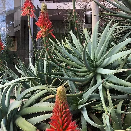 Beach 2* Проприано